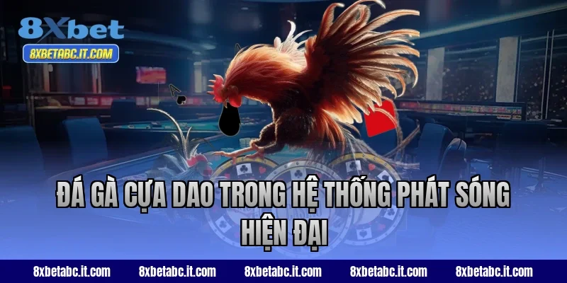 Đá gà cựa dao trong hệ thống phát sóng hiện đại tại 8XBet