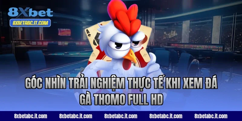 Góc nhìn trải nghiệm thực tế khi xem đá gà Thomo Full HD tại 8XBet
